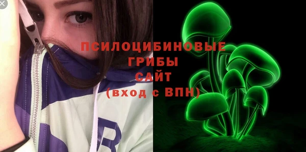 mdpv Михайловск